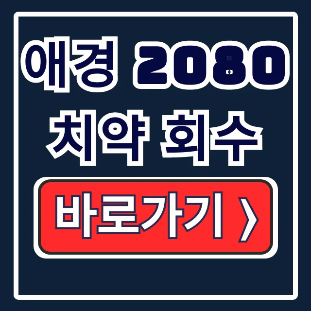 애경 2080 치약 회수 중국산 환불 신청 방법 애경 2080 치약 회수 중국산 환불 신청 방법