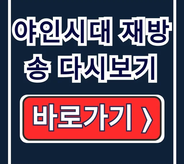 야인시대 재방송 다시보기 편성표 넷플릭스 채널유 총정리 야인시대 재방송 다시보기 편성표 넷플릭스 채널유 총정리