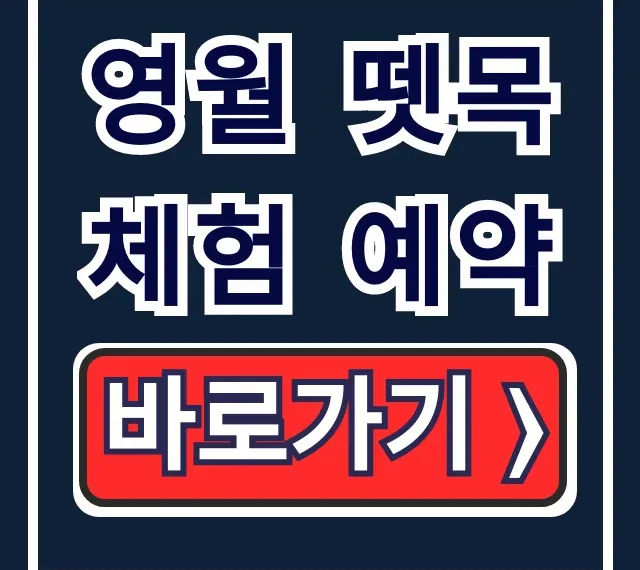 영월 뗏목체험 예약: 한반도뗏목마을 완벽 가이드
