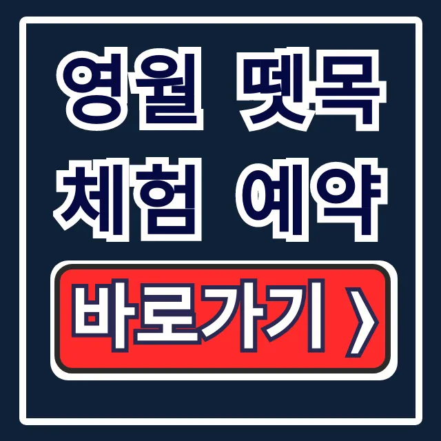 영월 뗏목체험 예약: 한반도뗏목마을 완벽 가이드 영월 뗏목체험 예약: 한반도뗏목마을 완벽 가이드