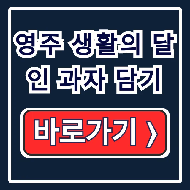 영주 생활의 달인 과자 담기! 주차·영업시간 & 꿀팁 영주 생활의 달인 과자 담기! 주차·영업시간 & 꿀팁