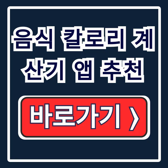 음식 칼로리 계산기 앱 추천, 다이어트 식단 관리 앱 TOP 5 음식 칼로리 계산기 앱 추천, 다이어트 식단 관리 앱 TOP 5