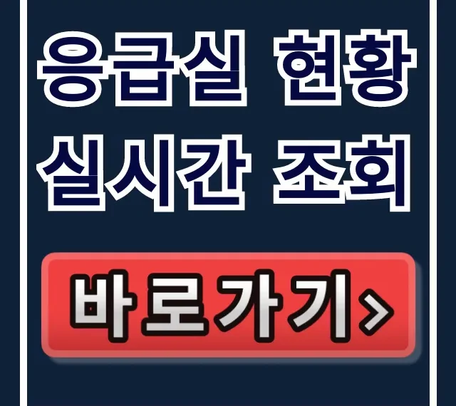 응급실 현황 실시간 조회: 야간 병원 찾는 꿀팁
