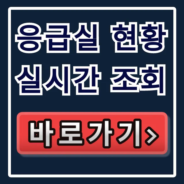 응급실 현황 실시간 조회: 야간 병원 찾는 꿀팁