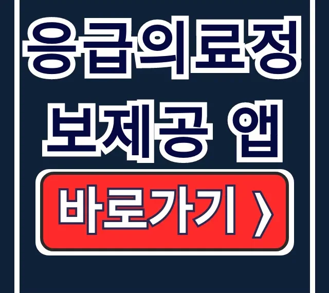 응급의료정보제공 앱 설치부터 문 여는 병원까지