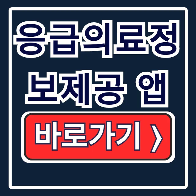 응급의료정보제공 앱 설치부터 문 여는 병원까지