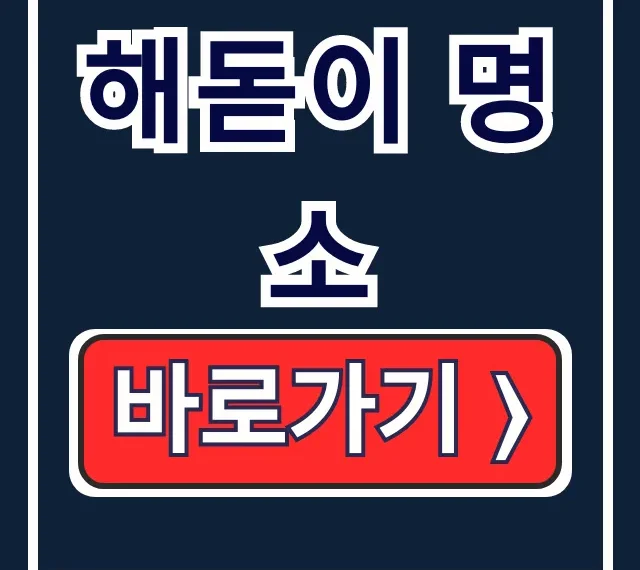전국 해돋이 명소 & 꿀팁 완벽 정리! 전국 해돋이 명소 & 꿀팁 완벽 정리!