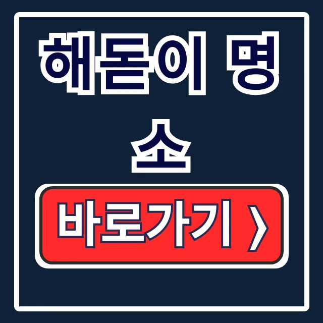 전국 해돋이 명소 & 꿀팁 완벽 정리! 전국 해돋이 명소 & 꿀팁 완벽 정리!