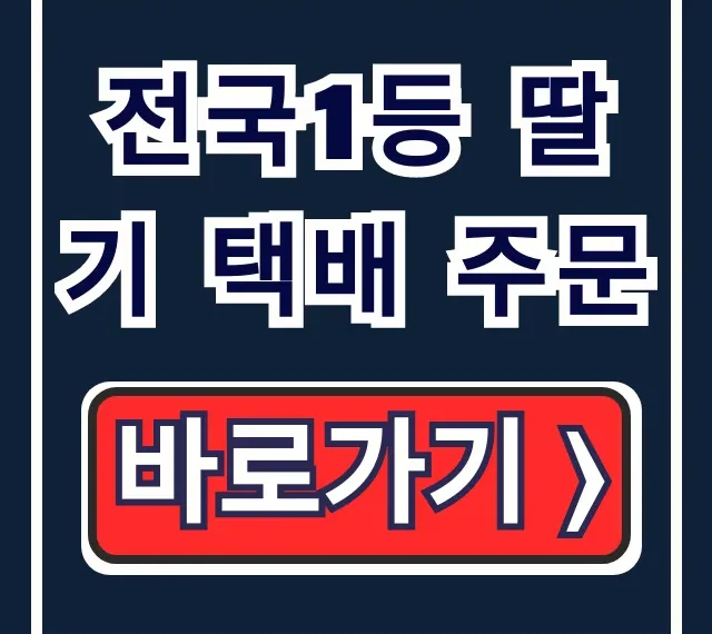 전국1등 딸기 택배 주문, MBC 딸기 완벽 가이드 전국1등 딸기 택배 주문, MBC 딸기 완벽 가이드