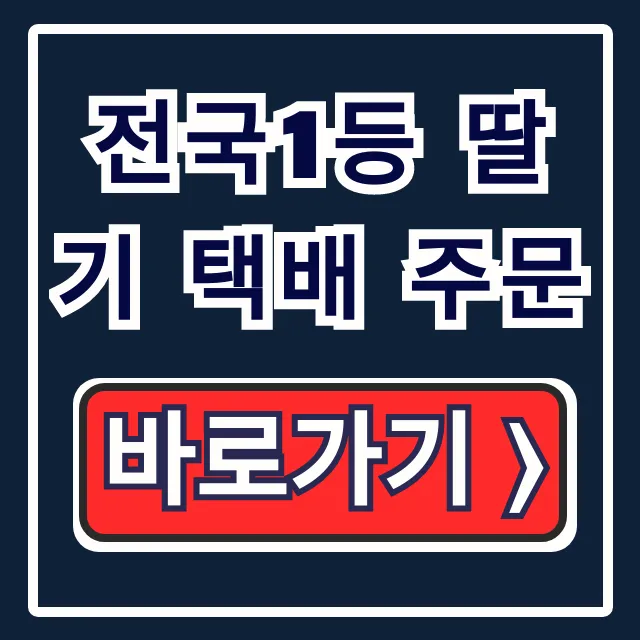 전국1등 딸기 택배 주문, MBC 딸기 완벽 가이드