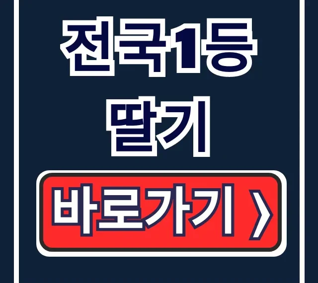 전국1등 딸기 MBC 논산 딸기 주문 꿀팁 전국1등 딸기 MBC 논산 딸기 주문 꿀팁