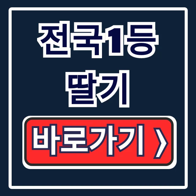전국1등 딸기 MBC 논산 딸기 주문 꿀팁