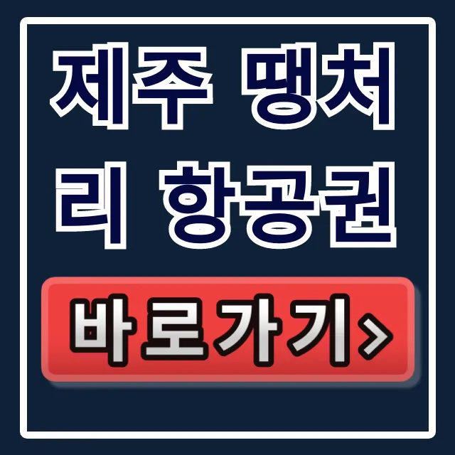 제주 땡처리 항공권 싸게 사는 법 총정리
