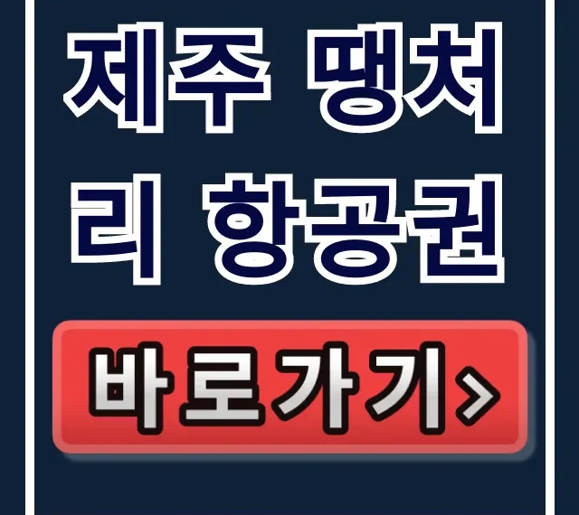 제주 땡처리 항공권 최저가 예약 꿀팁! 제주 땡처리 항공권 최저가 예약 꿀팁!