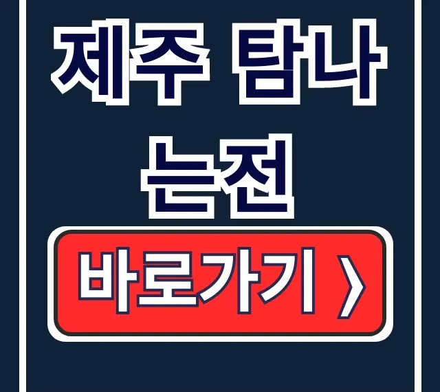 제주 탐나는전 발급 혜택 사용처 완전정복 제주 탐나는전 발급 혜택 사용처 완전정복