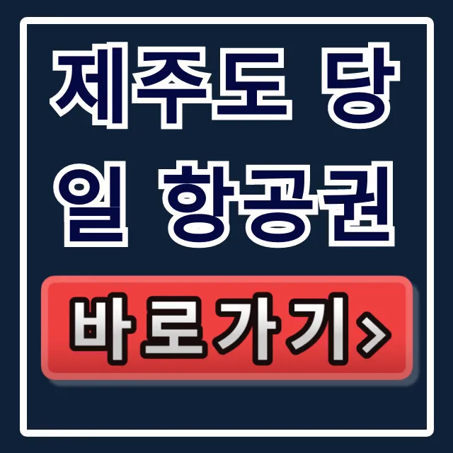 제주도 당일 항공권: 급할 때 싸게 구하는 법 제주도 당일 항공권: 급할 때 싸게 구하는 법