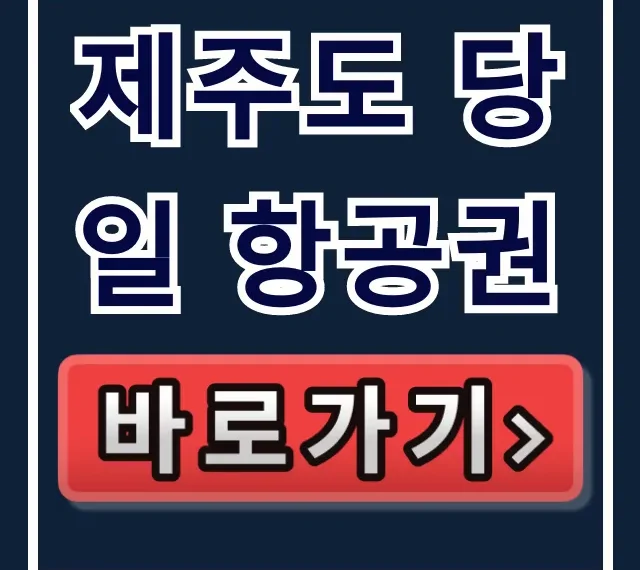 제주도 당일 항공권 최저가 조회 꿀팁