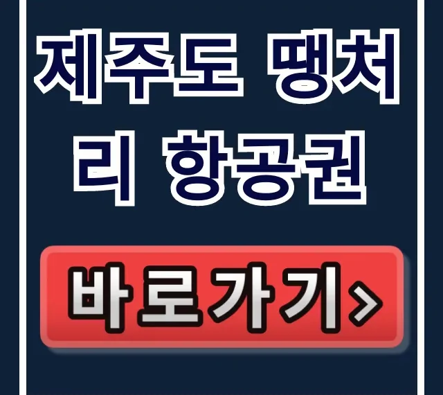 제주도 땡처리 항공권 최저가 구매 꿀팁 총정리 제주도 땡처리 항공권 최저가 구매 꿀팁 총정리