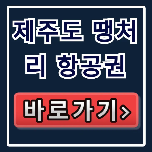 제주도 땡처리 항공권 최저가 구매 꿀팁 총정리