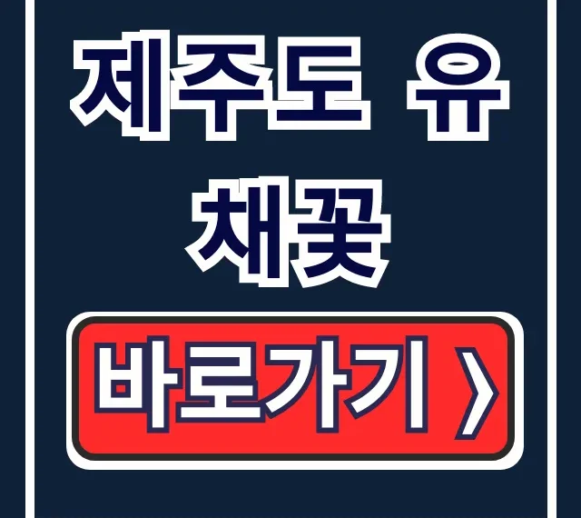 제주도 유채꽃 2026년 개화시기 명소 완벽 가이드 제주도 유채꽃 2026년 개화시기 명소 완벽 가이드
