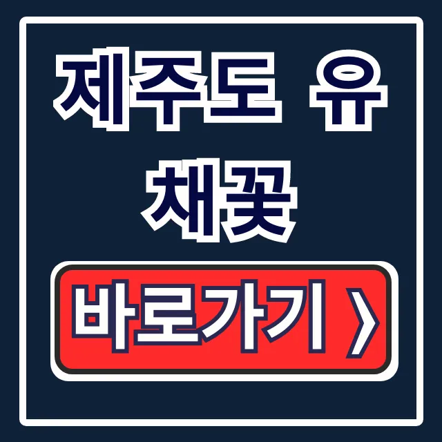 제주도 유채꽃 2026년 개화시기 명소 완벽 가이드