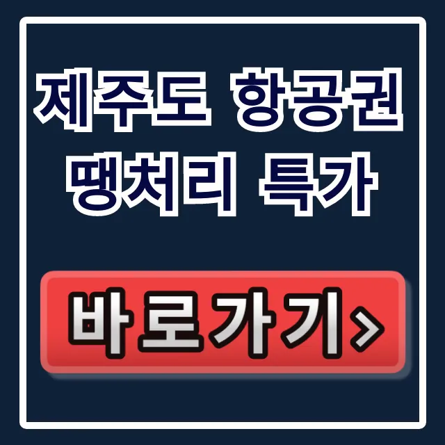 제주도 항공권 땡처리 특가 최저가 예약 꿀팁