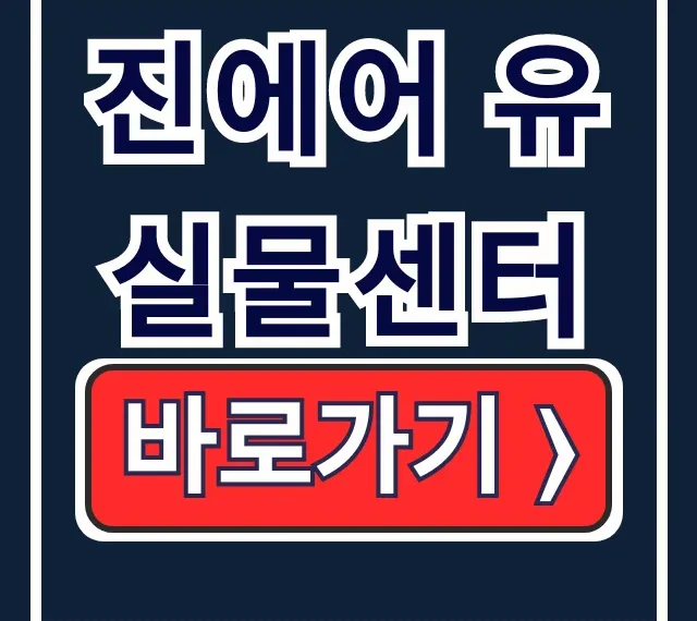 진에어 유실물센터: 기내 분실, 수하물 지연 신고 총정리
