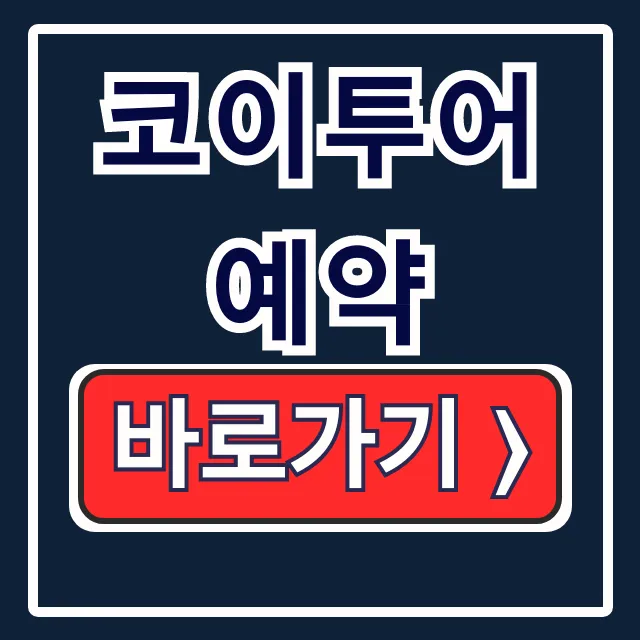 코이투어 예약: 베트남 여행 완벽 가이드 (홈페이지 & 카카오톡) 코이투어 예약: 베트남 여행 완벽 가이드 (홈페이지 & 카카오톡)