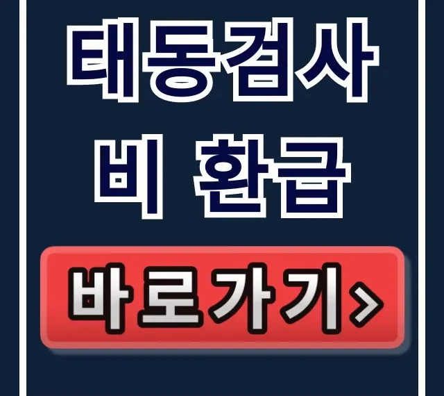 태동검사비 환급: 조건부터 신청까지 총정리 꿀팁 태동검사비 환급: 조건부터 신청까지 총정리 꿀팁