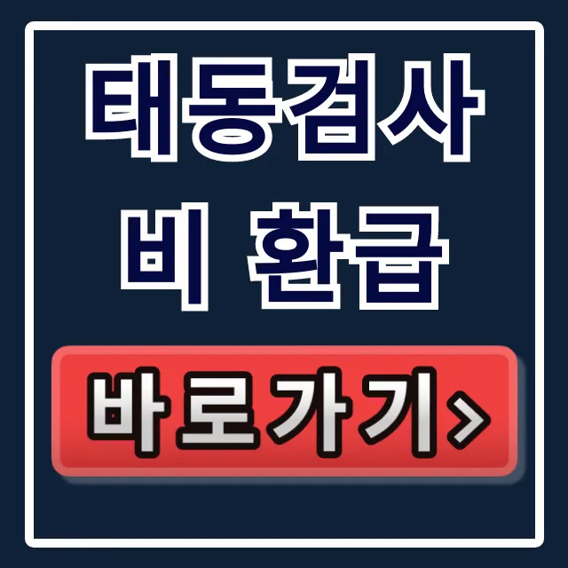 태동검사비 환급: 조건부터 신청까지 총정리 꿀팁 태동검사비 환급: 조건부터 신청까지 총정리 꿀팁