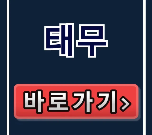 태무 홈페이지 접속 & 한글 지원: 바로가기 꿀팁 총정리!
