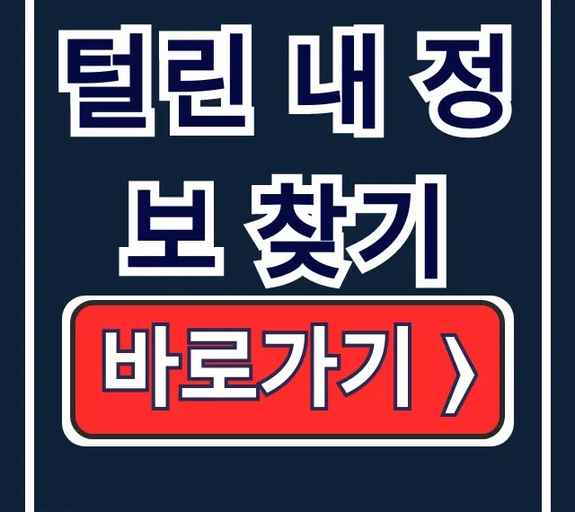 털린 내 정보 찾기: 개인정보보호위 유출 없음 확인 털린 내 정보 찾기: 개인정보보호위 유출 없음 확인
