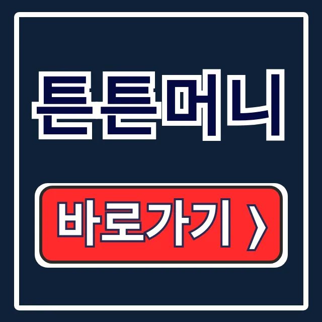 튼튼머니 참가자격·참여·사용법 총정리