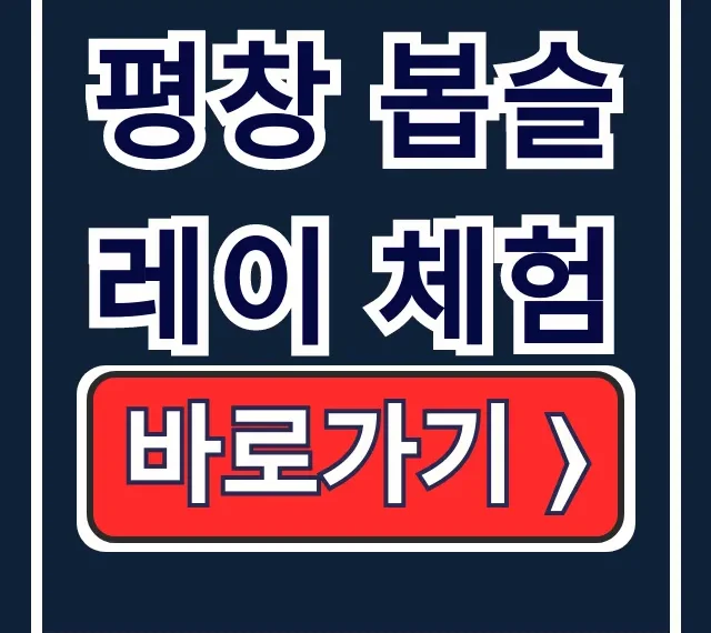 평창 봅슬레이 체험 예약 가격 체험장 총정리