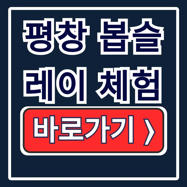평창 봅슬레이 체험 예약 방법, 가격, 체험장 총정리 평창 봅슬레이 체험 예약 방법, 가격, 체험장 총정리