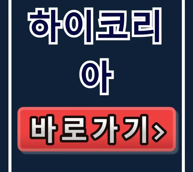 하이코리아 외국인 출입국 완벽 가이드
