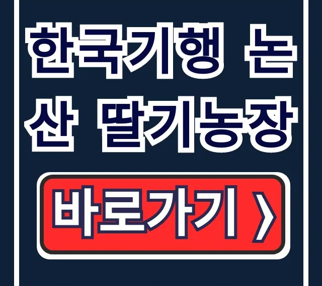 한국기행 논산 딸기농장 숙자매 딸기체험 가격 및 연락처 총정리 한국기행 논산 딸기농장 숙자매 딸기체험 가격 및 연락처 총정리