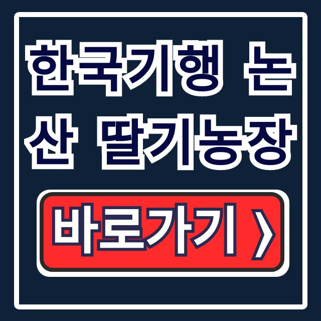 한국기행 논산 딸기농장 숙자매 딸기체험 가격 및 연락처 총정리