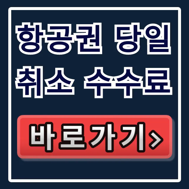 항공권 당일 취소 수수료, 얼마? 완벽 정리! 항공권 당일 취소 수수료, 얼마? 완벽 정리!
