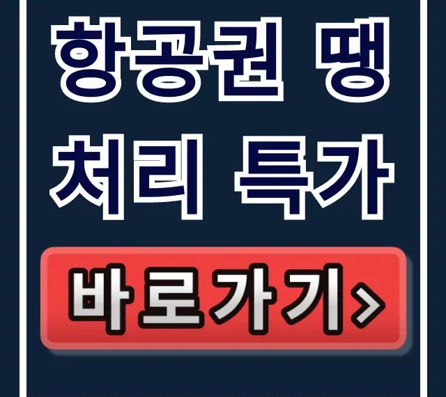 항공권 땡처리 특가 예약 꿀팁! 최저가 잡는 법 항공권 땡처리 특가 예약 꿀팁! 최저가 잡는 법