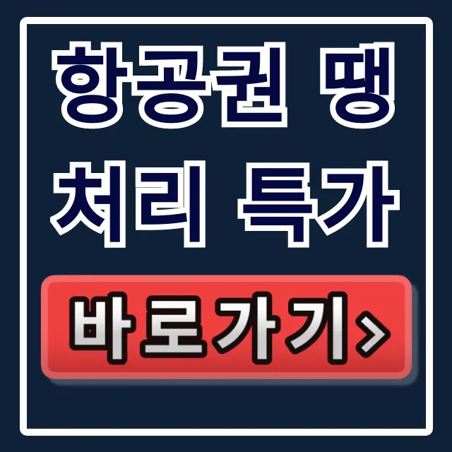 항공권 땡처리 특가 예약 꿀팁! 최저가 잡는 법