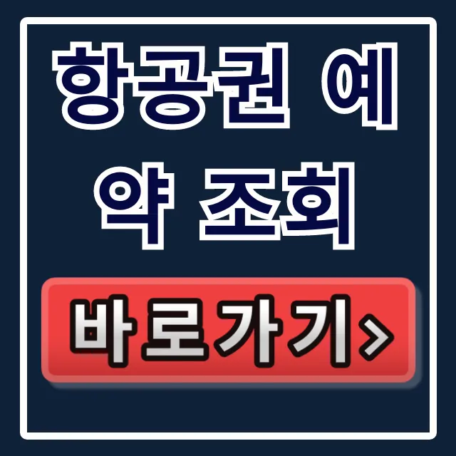 항공권 예약 조회: 초간단 확인 방법