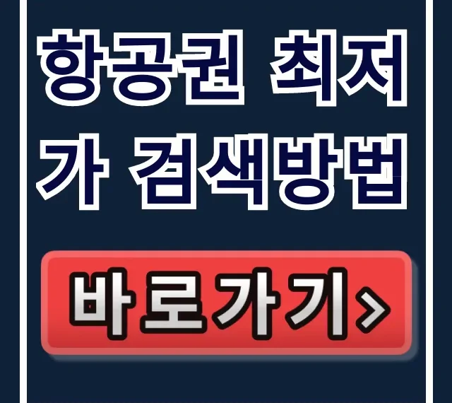 항공권 최저가 검색방법, 성공률 100% 꿀팁 대공개 항공권 최저가 검색방법, 성공률 100% 꿀팁 대공개
