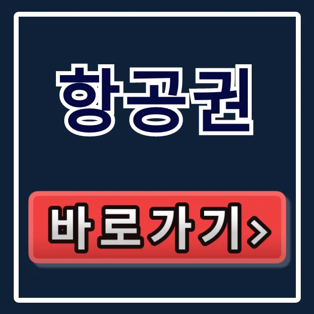 항공권 최저가 예약 꿀팁 총정리