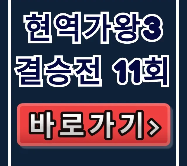 현역가왕3 결승전 11회 결과! 재방송 및 진출자 총정리 현역가왕3 결승전 11회 결과! 재방송 및 진출자 총정리