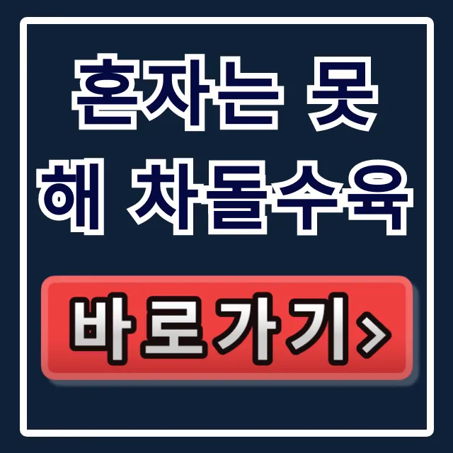 혼자는 못 해 차돌수육 맛집! 수육전골 위치 총정리 혼자는 못 해 차돌수육 맛집! 수육전골 위치 총정리