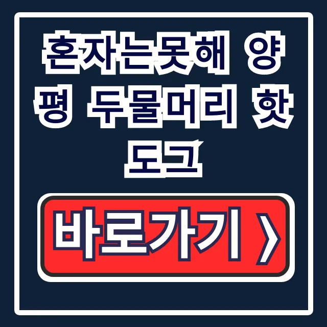 혼자는못해 양평 두물머리 핫도그 위치/택배 꿀팁 혼자는못해 양평 두물머리 핫도그 위치/택배 꿀팁