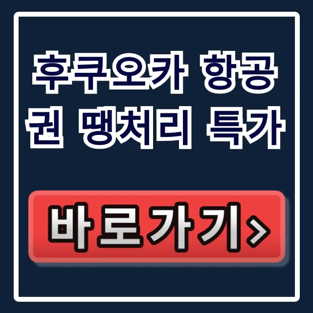 후쿠오카 항공권 땡처리 특가 최저가 예약 꿀팁