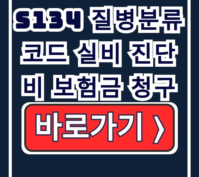 S134 질병코드 실비 진단비 보험금 청구법