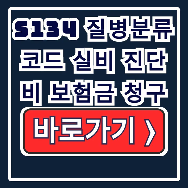 S134 질병코드 실비 진단비 보험금 청구법 S134 질병코드 실비 진단비 보험금 청구법
